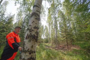 tämä on testiartikelin kuvateksti. (Kuvaaja: Kuvaajan Nimi)