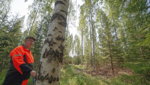 tämä on testiartikelin kuvateksti. (Kuvaaja: Kuvaajan Nimi)