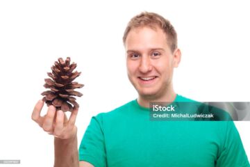 Muikea poika kävyn nappaa.