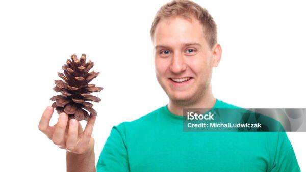 Muikea poika kävyn nappaa.